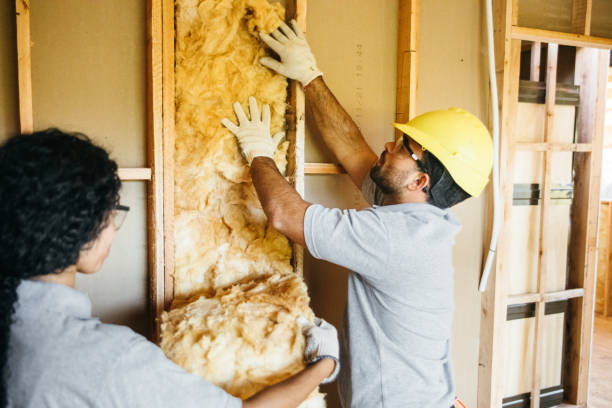 Best Insulation for New Construction  in East Port Orchard, WA